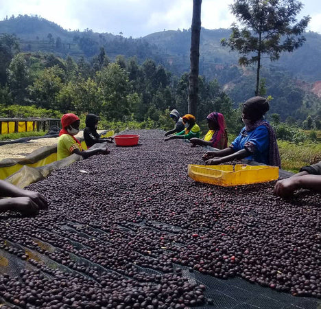 Rwanda